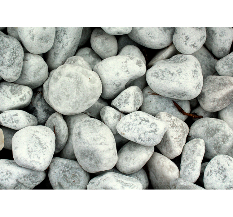 차가운 돌 자연 벽 벽화 - TenStickers