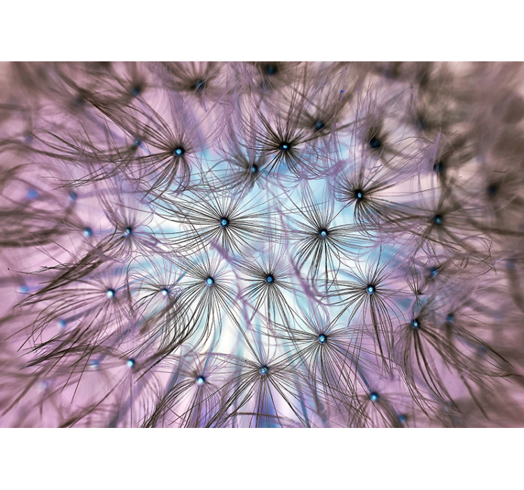 내부 민들레 자연 벽 벽화 - TenStickers