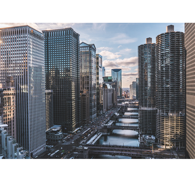 도시와 국가 벽 벽화 시카고 스카이라인 뷰 - TenStickers