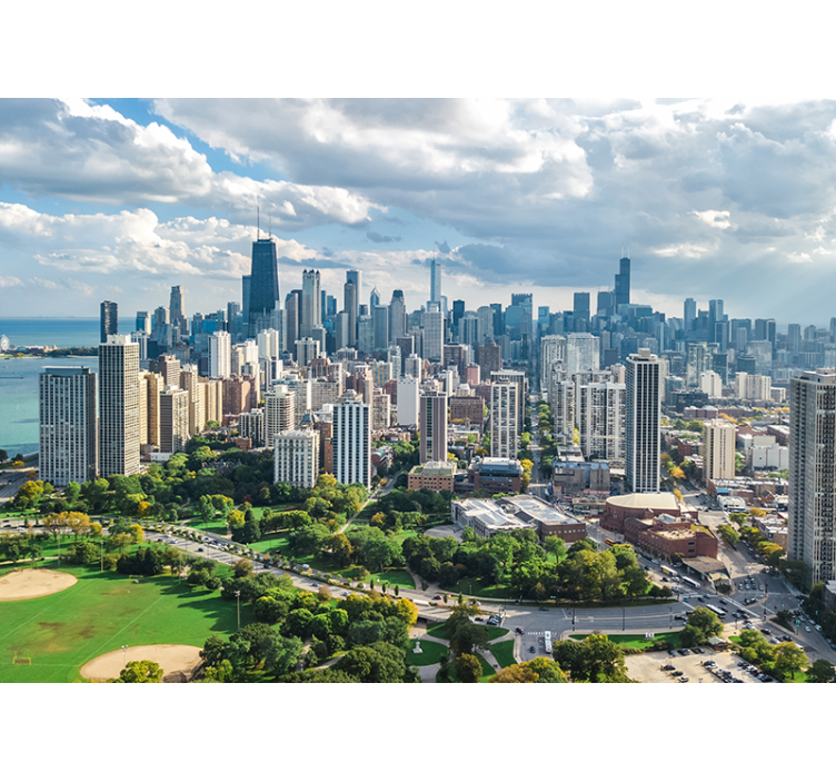 도시 벽 벽화 시카고 시티와 링컨 파크 - TenStickers