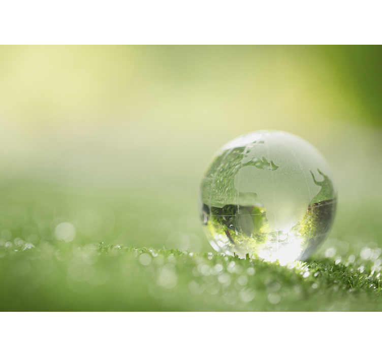 잔디 위에 물의 숲 벽 벽화 드롭 - TenStickers