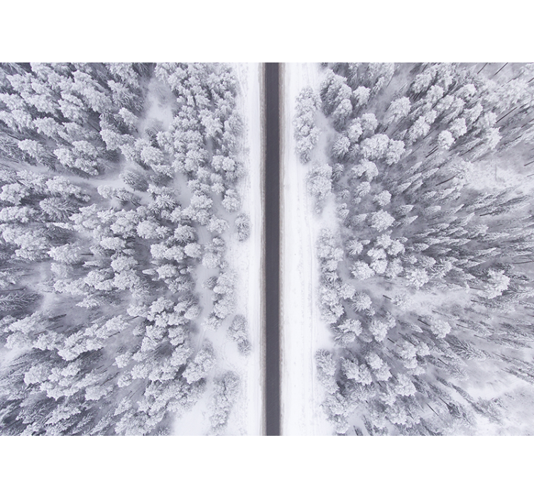 풍경 벽 벽화 겨울 숲길 - TenStickers