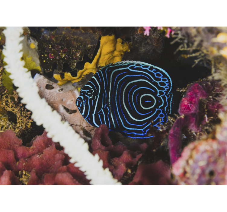 이국적인 푸른 물고기 동물 벽 벽화 - TenStickers