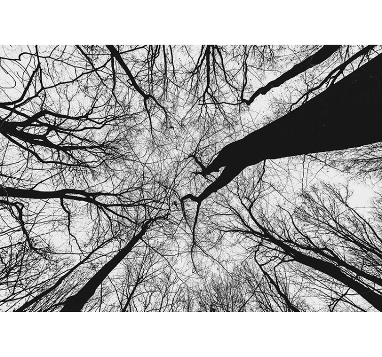 나무 벽 벽화 얽힌 가지 실루엣 - TenStickers