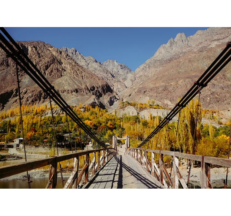 포토 뮤럴 자연 생기 넘치는 잎사귀 배열 - TenStickers