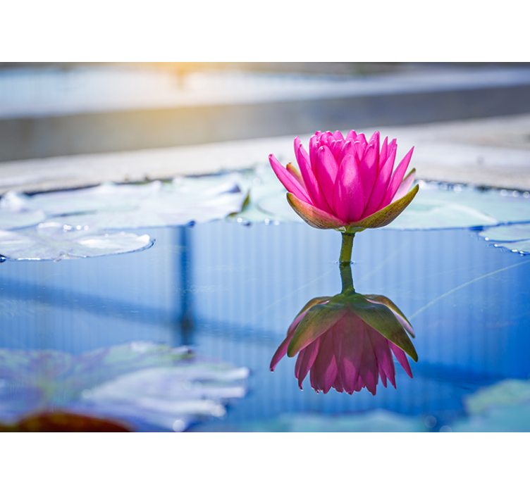 벽화 라인 환경 연꽃의 평화 - TenStickers