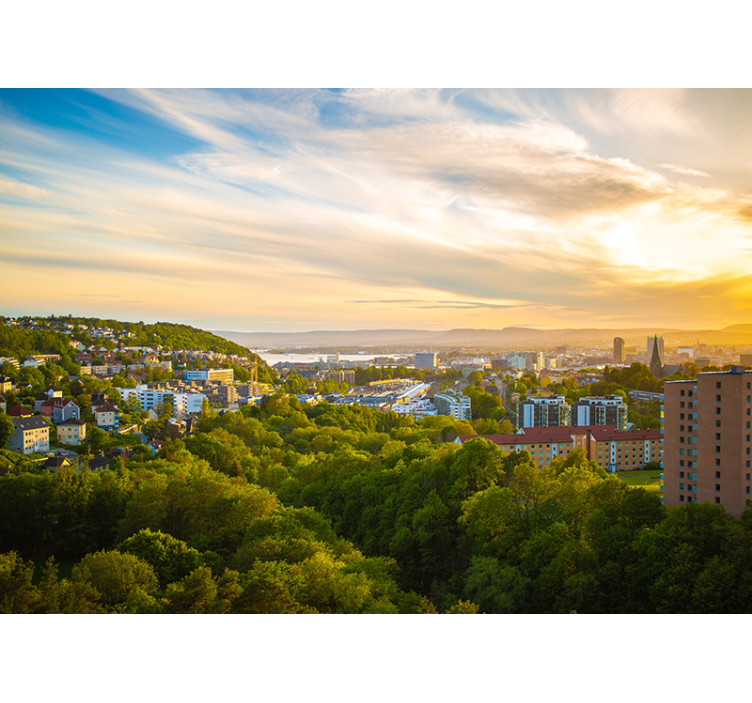 도시와 국가 벽 벽화 도시 풍경 - TenStickers