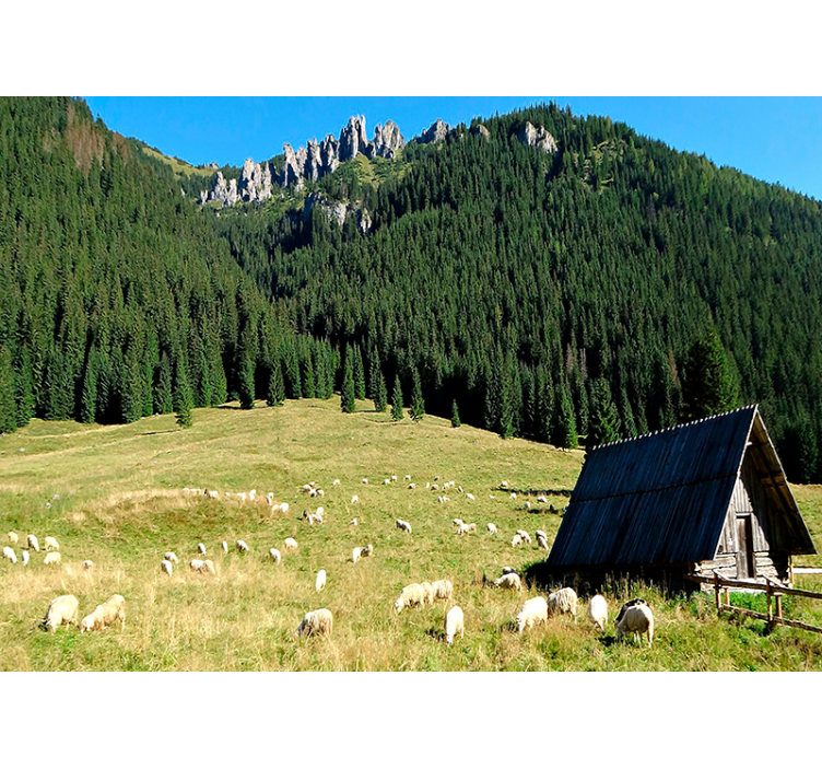 Tatras 산 벽 벽화 - TenStickers