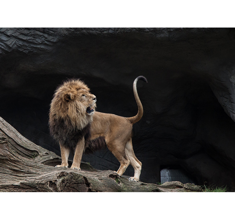 사자 벽 벽화 웅장한 사자 초상화 - TenStickers