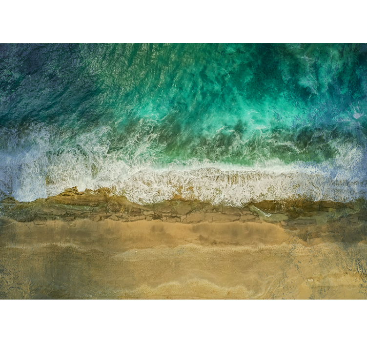 포토 뮤럴 자연 해안 식물 배열 - TenStickers