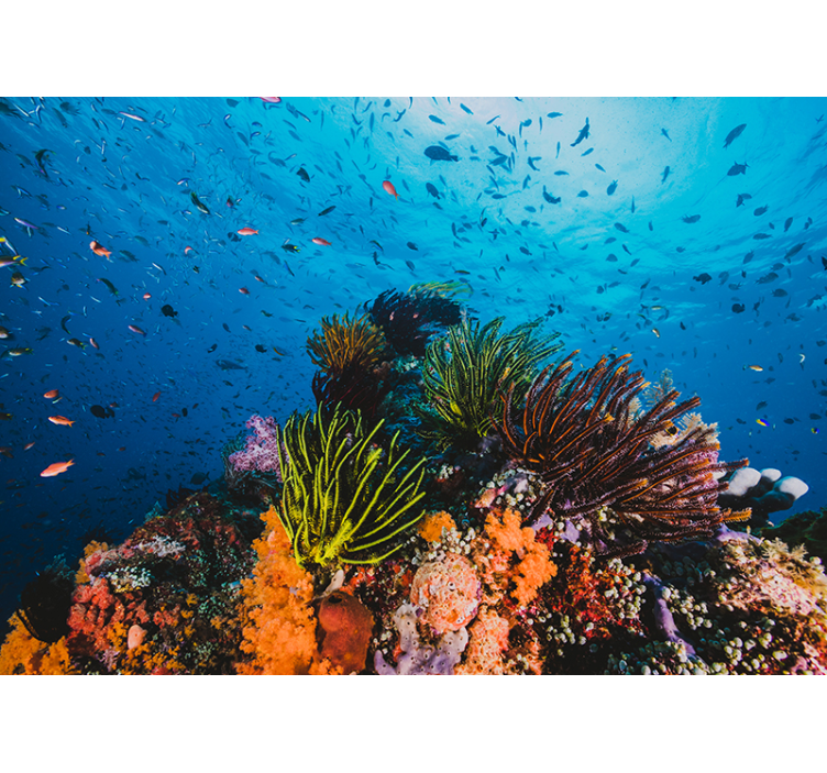 바다 벽화 아래 산호초 - TenStickers