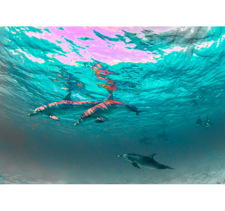 동물 벽 벽화 즐겁게 수영하는 돌고래 - TenStickers