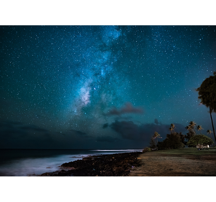 푸른 밤하늘 별이 가득한 하늘 벽 벽화 - TenStickers