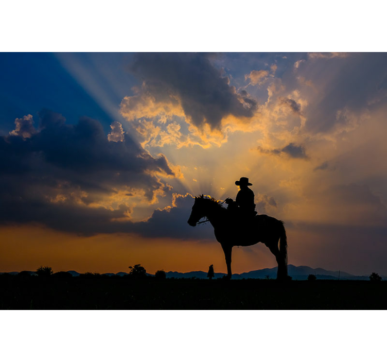 동물 벽 벽화 기마자 - TenStickers