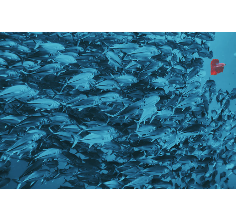 동물 벽 벽화 수중 물고기 떼 - TenStickers