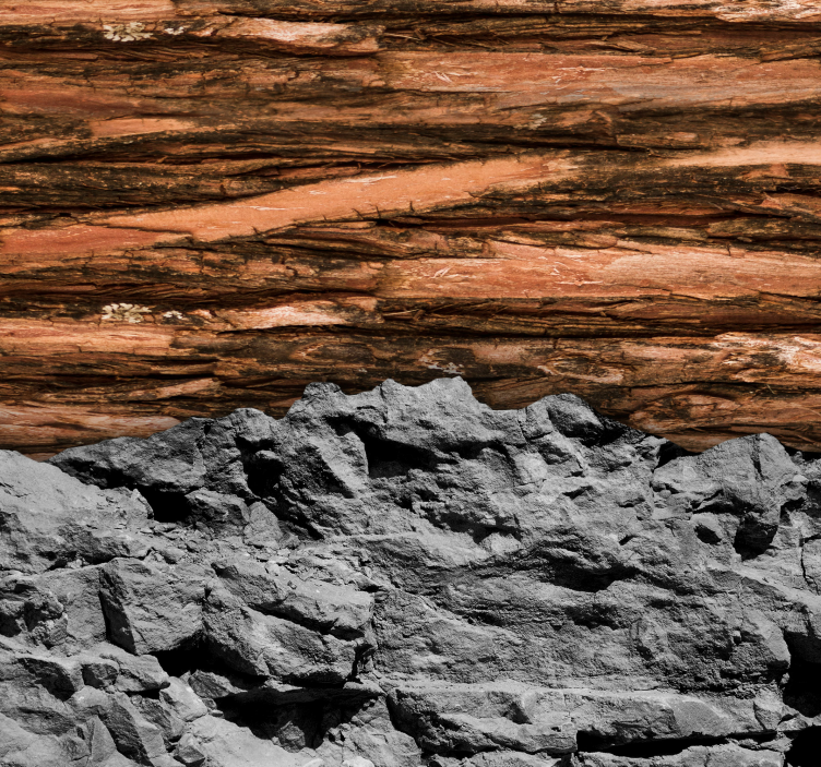 거실 벽 벽화 나무와 돌 - TenStickers