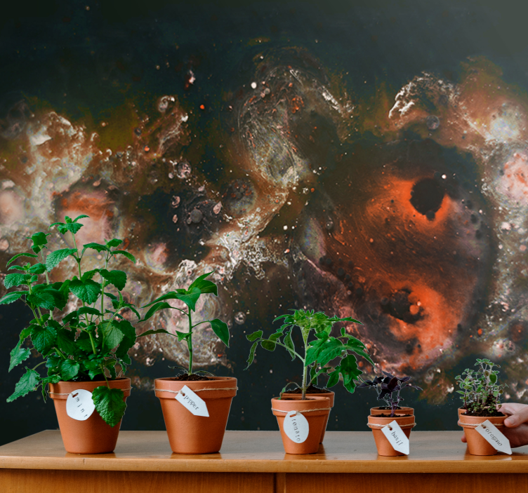 초록 벽 벽화 천상의 유동 패턴 - TenStickers