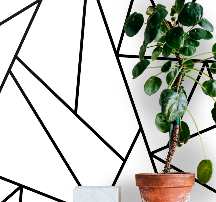 초록 벽 벽화 기하학적 검은 선 - TenStickers