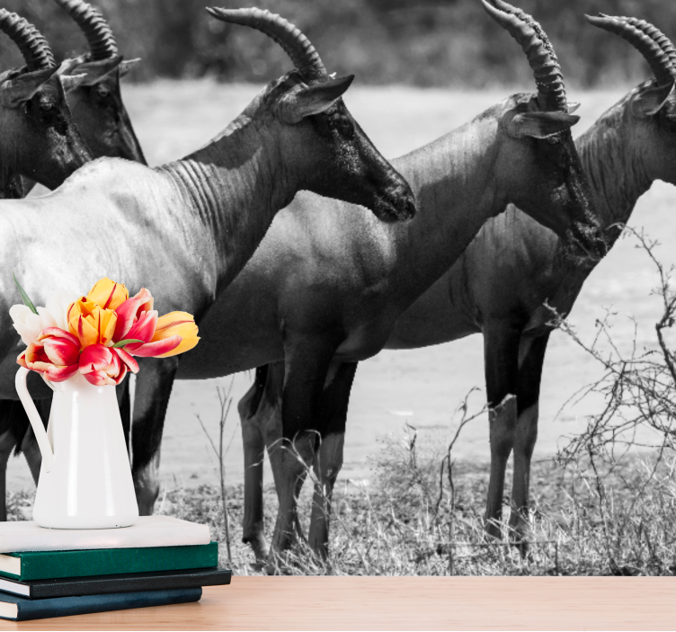 동물 벽 벽화 아프리카 영양 떼 - TenStickers