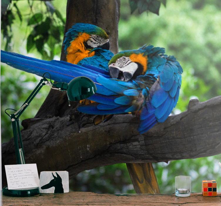 동물 벽 벽화 화려한 앵무새 한 쌍 - TenStickers