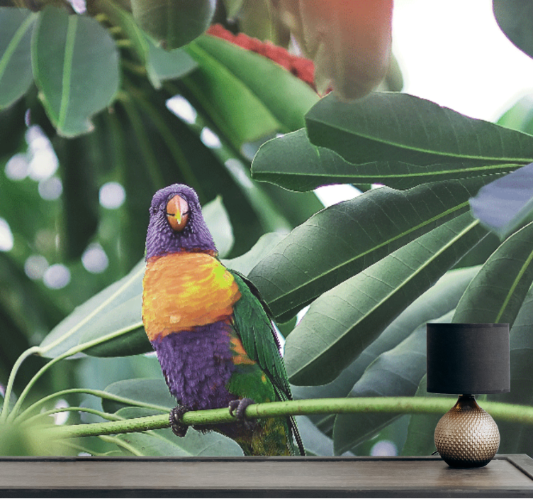 동물 벽 벽화 화려한 앵무새 앉아있기 - TenStickers