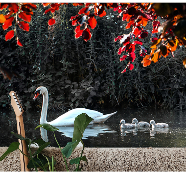 동물 벽 벽화 우아한 백조 가족 - TenStickers