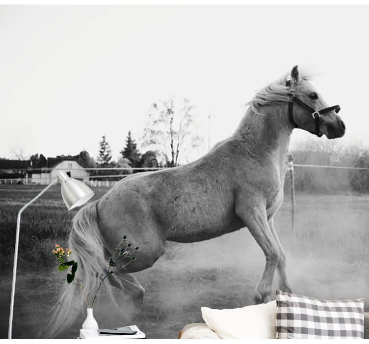 동물 벽 벽화 달리는 조랑말 - TenStickers