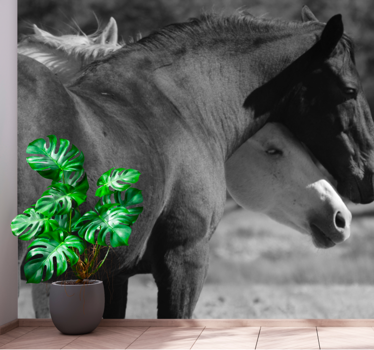 동물 벽 벽화 말의 동반자 관계 - TenStickers