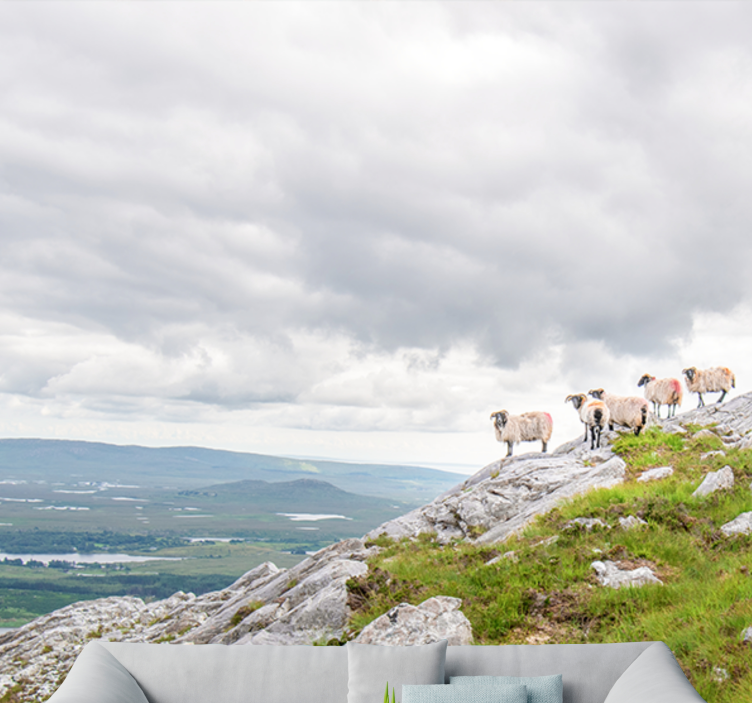 다른 동물 벽 벽화 양들이 있는 경사 - TenStickers