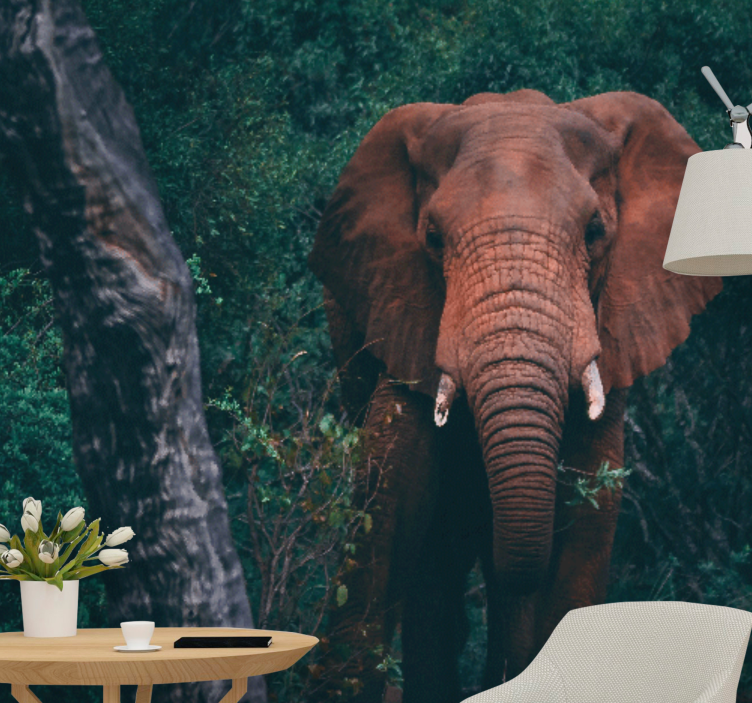 동물 벽 벽화 장엄한 코끼리 존재 - TenStickers