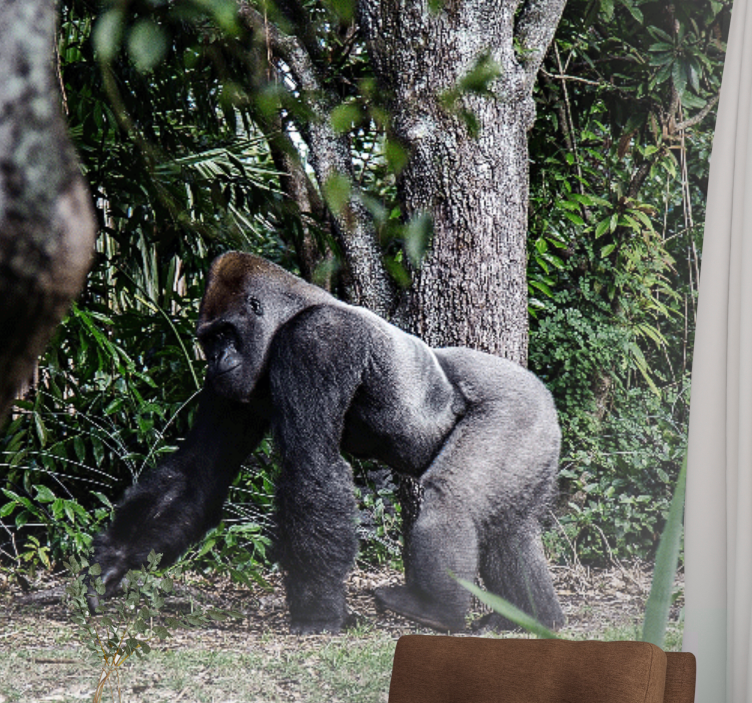 동물 벽 벽화 우아한 고릴라 산책 - TenStickers