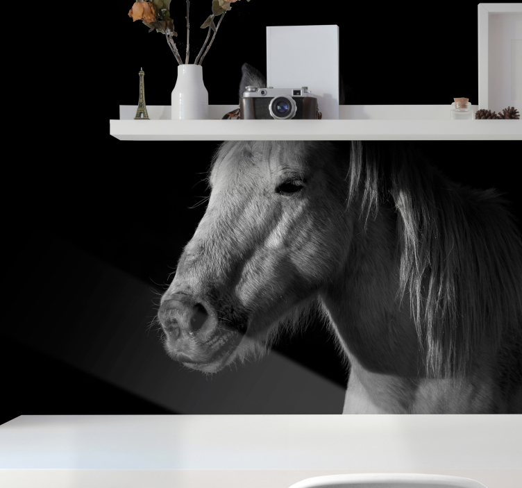 동물 벽 벽화 위풍당당한 말 초상화 - TenStickers