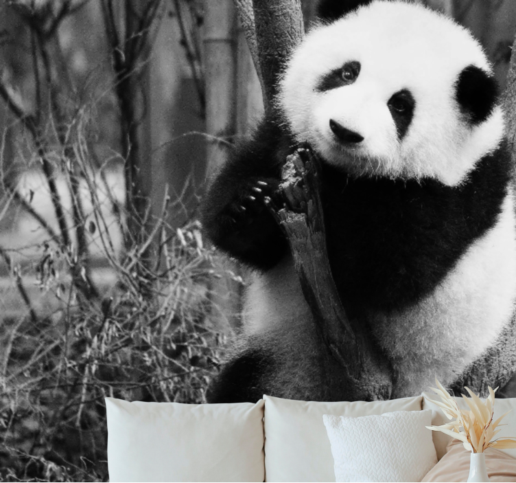 동물 벽 벽화 판다 나무 위에 - TenStickers