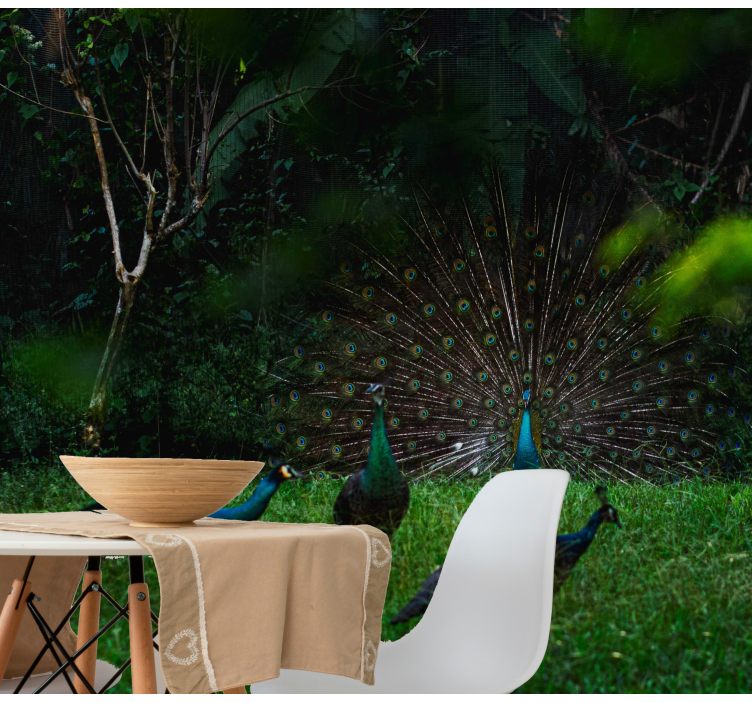 동물 벽 벽화 공작이 깃털을 펼치는 모습 - TenStickers