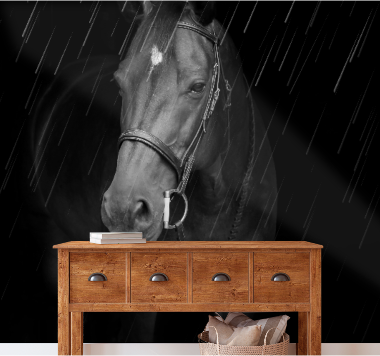 동물 벽 벽화 고귀한 말 초상화 - TenStickers