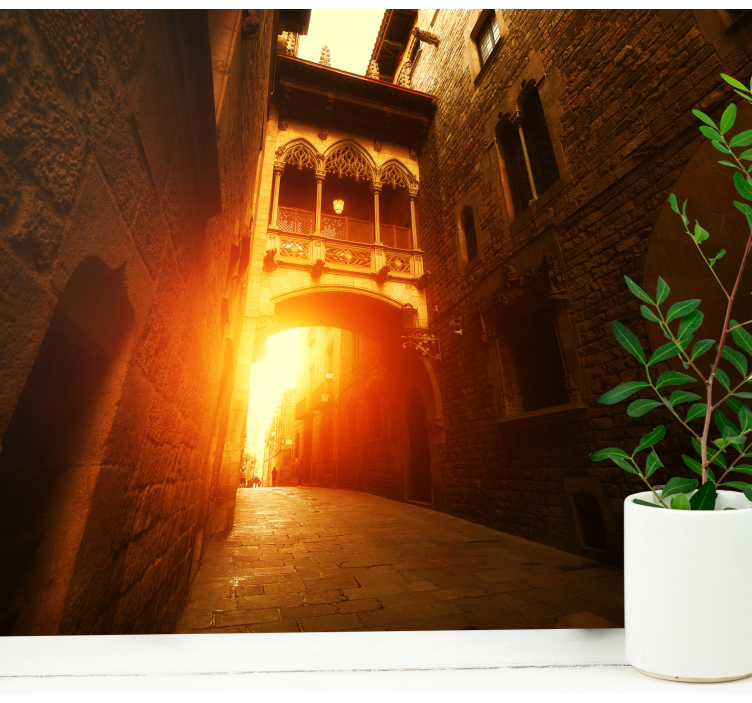 사진 벽화 바르셀로나 역사적인 고딕 아치 통로 - TenStickers