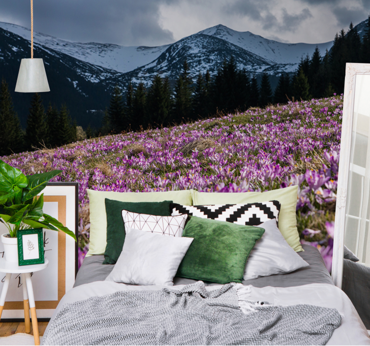 크로커스 꽃의 아름다운 초원 벽화 - TenStickers