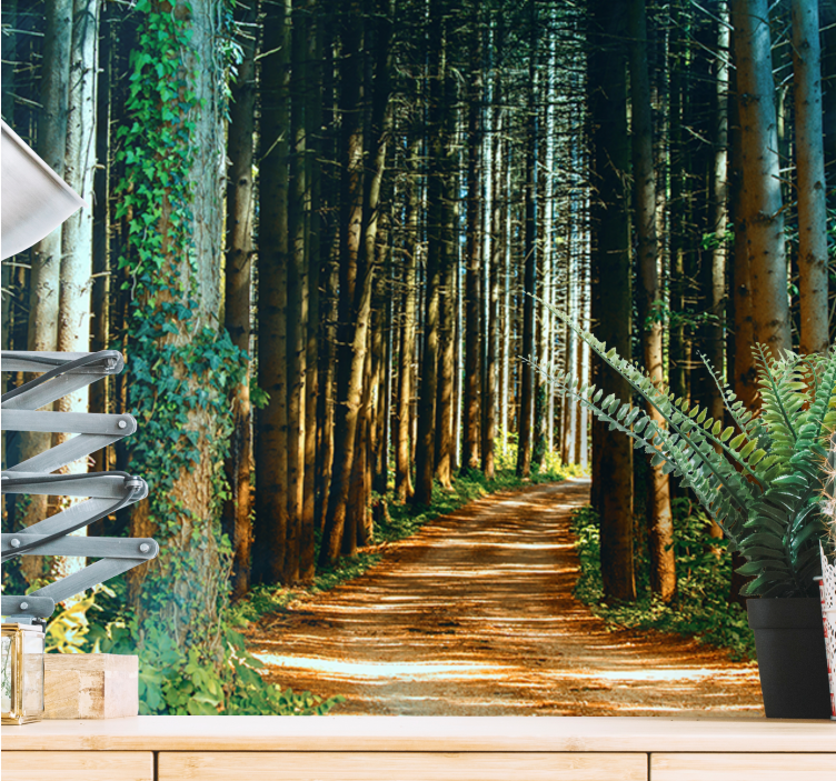 아름다운 자연 경로 나무 벽화 - TenStickers