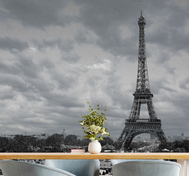 흑백 파리 도시 벽 벽화 - TenStickers