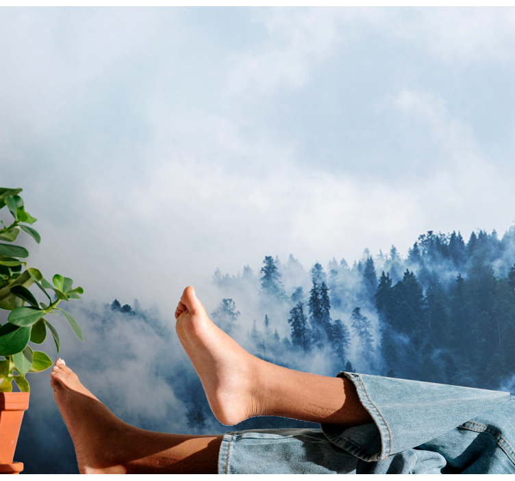 푸른 안개 숲 자연 벽 벽화 - TenStickers