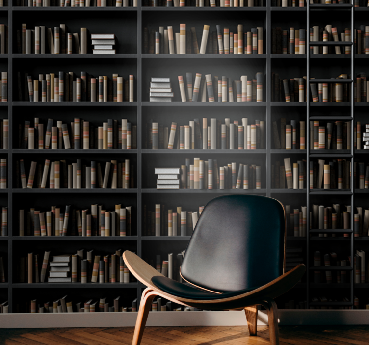 책장 착시 3d 벽 벽화 - TenStickers