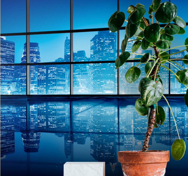 도시와 국가 벽 벽화 도시 야경 반영 - TenStickers