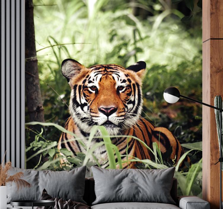 당신을보고있는 귀여운 호랑이 벽화 - TenStickers