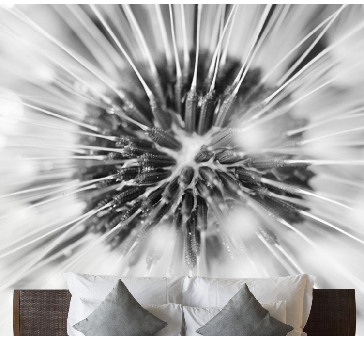 민들레 벽 벽화 민들레 씨앗 폭발 - TenStickers