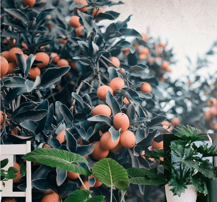 꽃 벽 벽화 감귤 과일 가지 - TenStickers