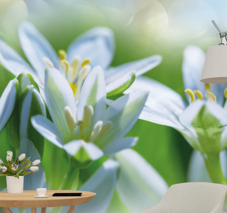 꽃 벽 벽화 부드러운 하얀 꽃들 - TenStickers