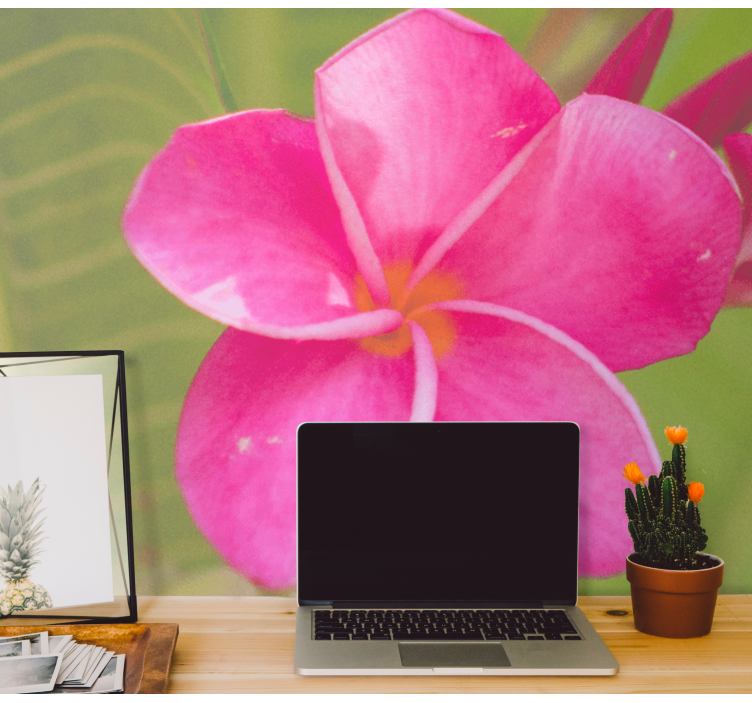 꽃 벽 벽화 분홍 꽃 포인트 - TenStickers