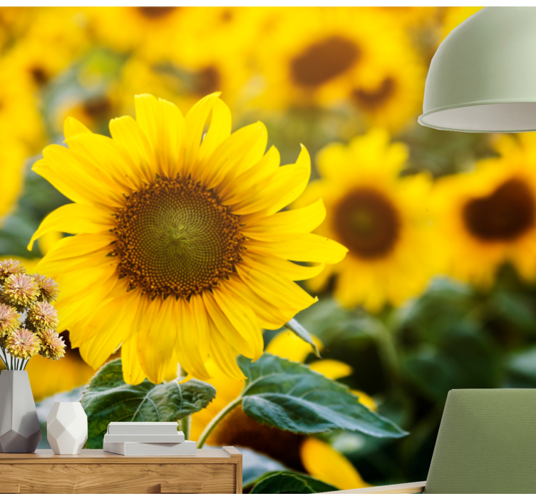 꽃 벽 벽화 해바라기 밭의 만개 - TenStickers