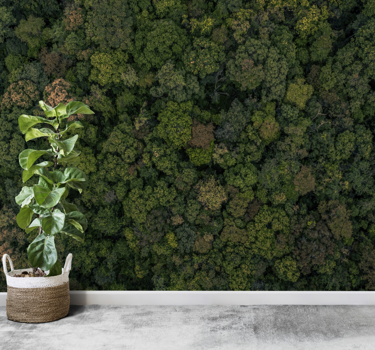 숲 사진 나무 벽 벽화 - TenStickers