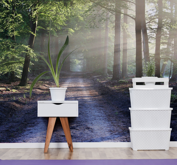 숲 벽 벽화 조명이 켜진 숲길 - TenStickers